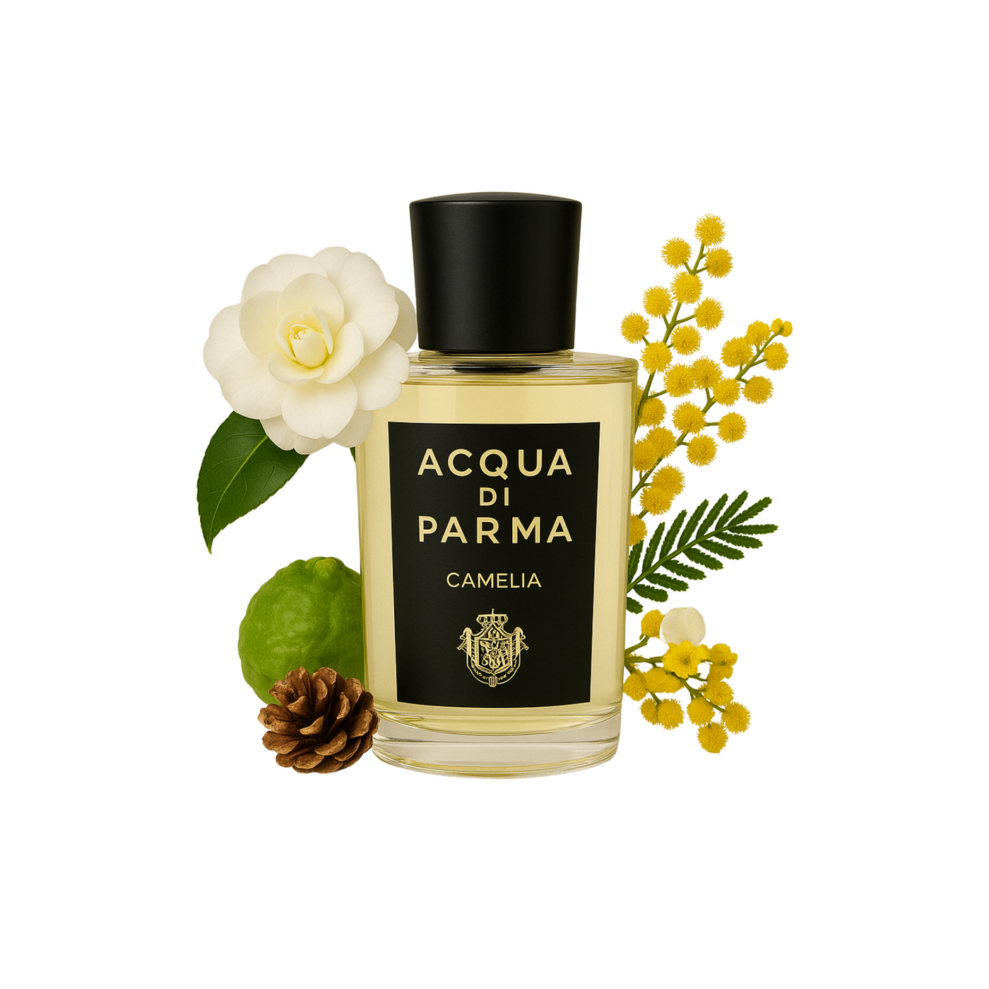 Acqua di parma