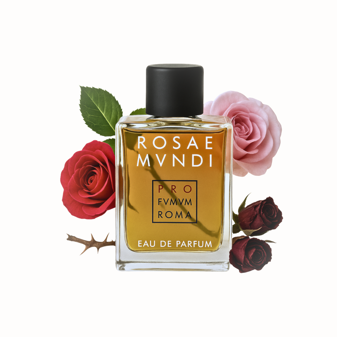 Profvmvm rosae mvndi
