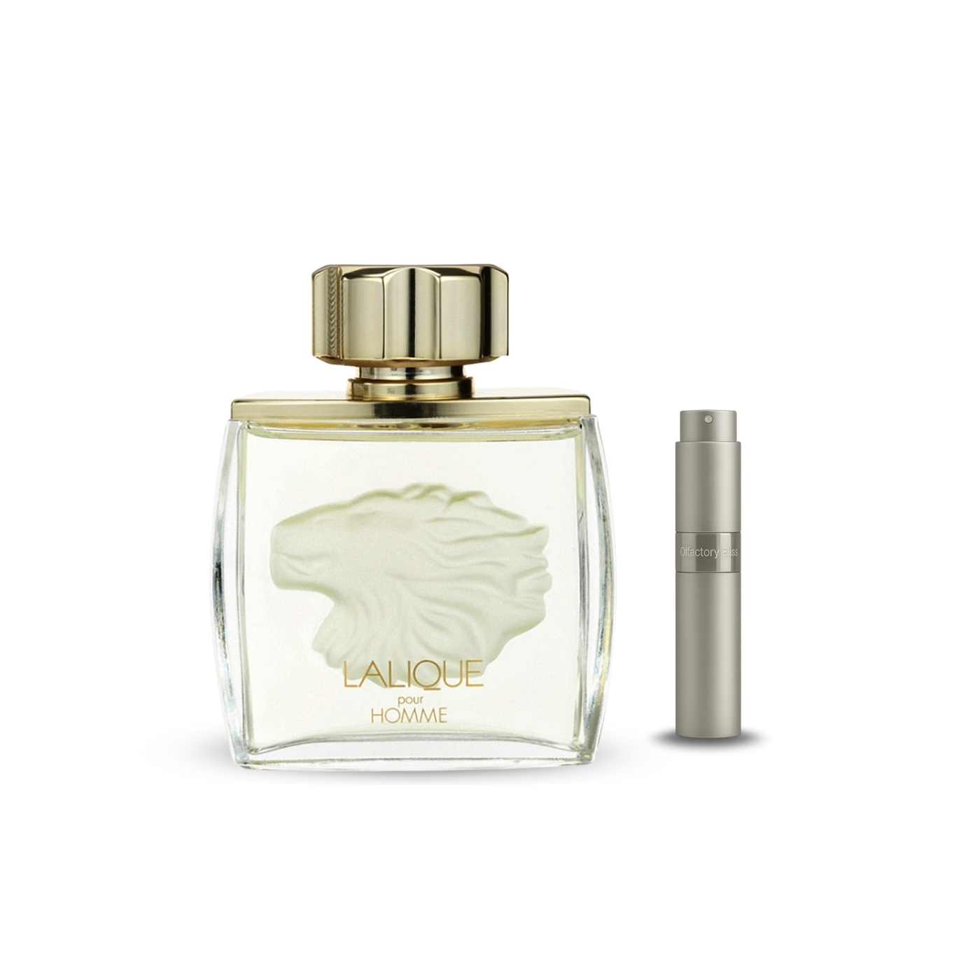 Lalique Pour Homme