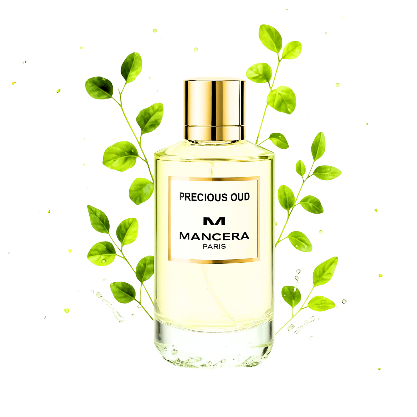Mancera precious oud