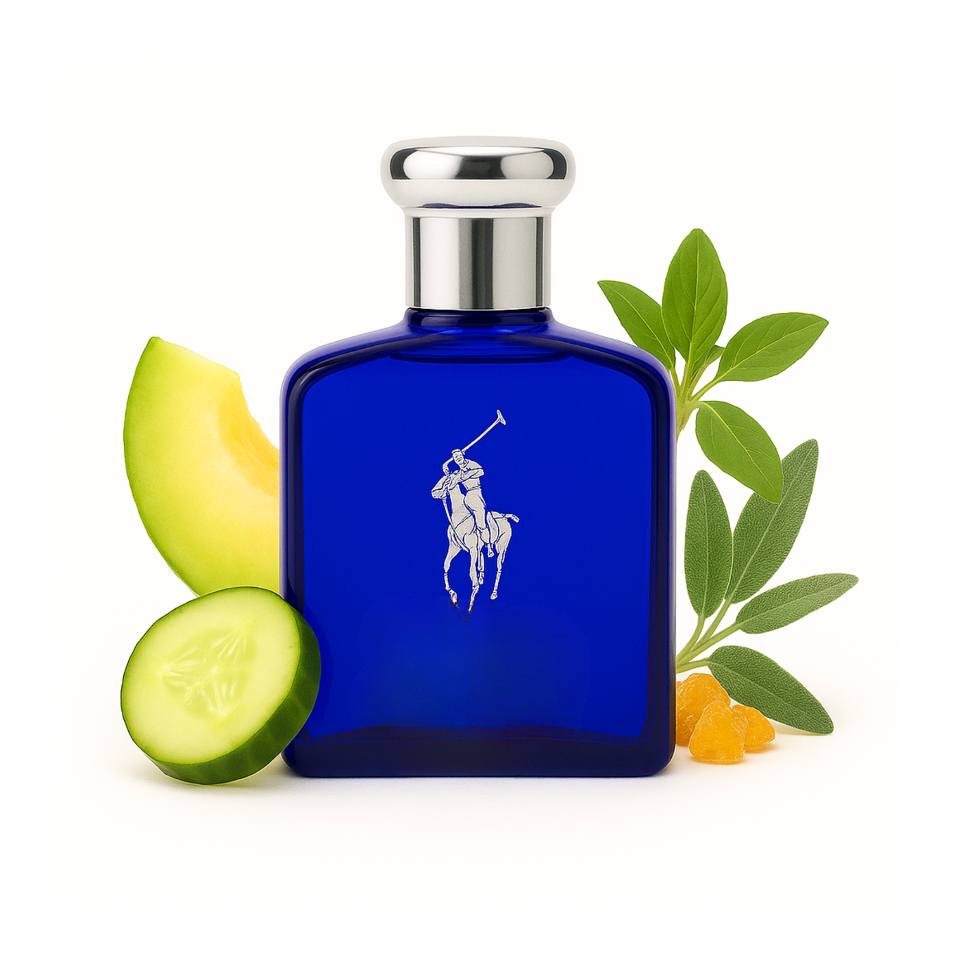 Ralph Lauren polo blue