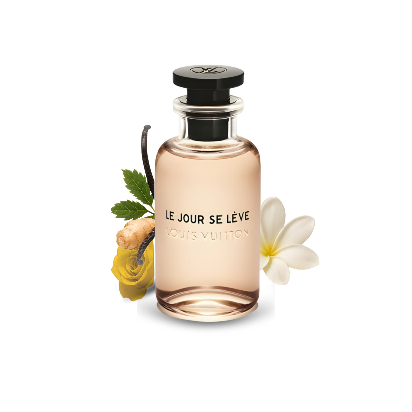 Louis Vuitton Le jour se leve