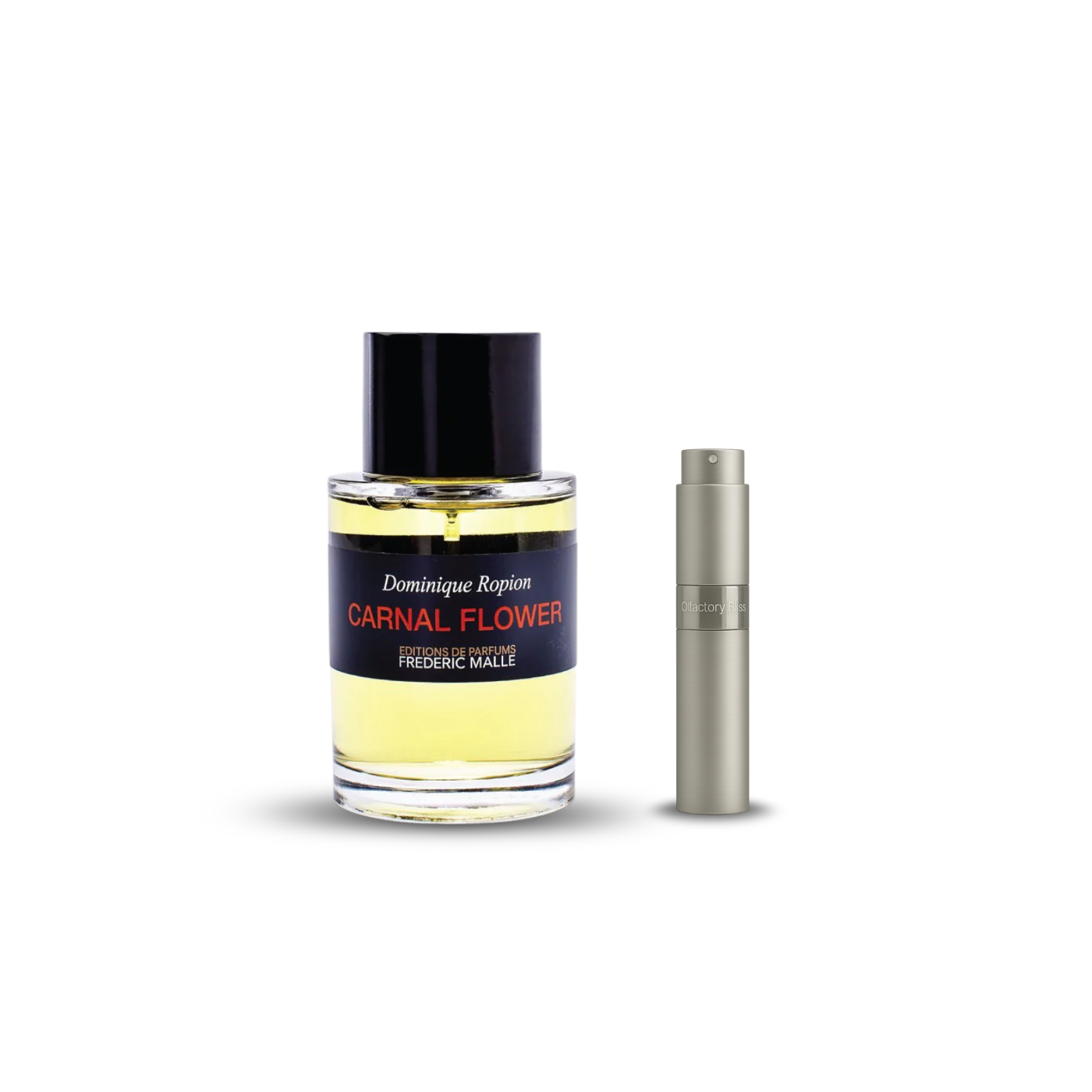 𝗙𝗿𝗲𝗱𝗲𝗿𝗶𝗰 𝗠𝗮𝗹𝗹𝗲 carnal flower